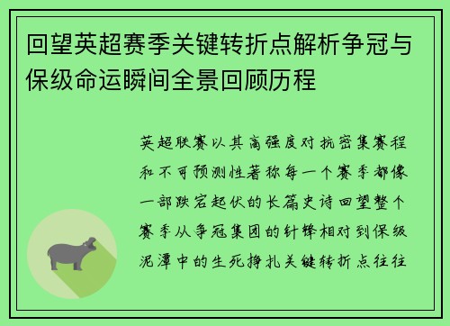 回望英超赛季关键转折点解析争冠与保级命运瞬间全景回顾历程